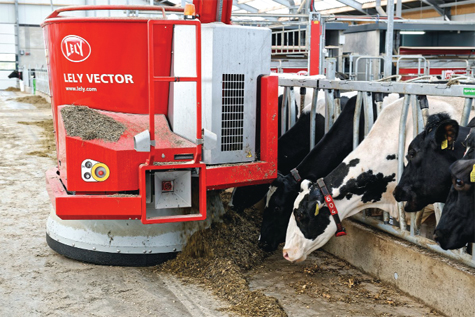 Một robot có thể nhặt và trộn thức ăn cho gần 200 con bò nhiều lần trong ngày