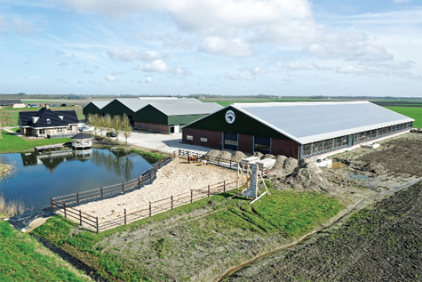 Toàn cảnh trang trại